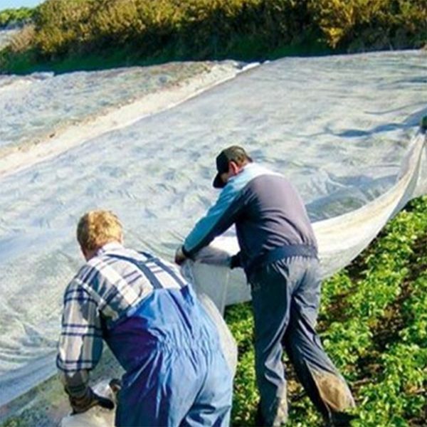 Vlies für die Landwirtschaft